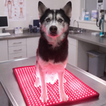 RedWell™ Pet Mat