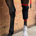 RedWell™ Equine Hock Wrap