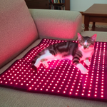 RedWell™ Pet Mat