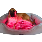 RedWell™ Pet Mat