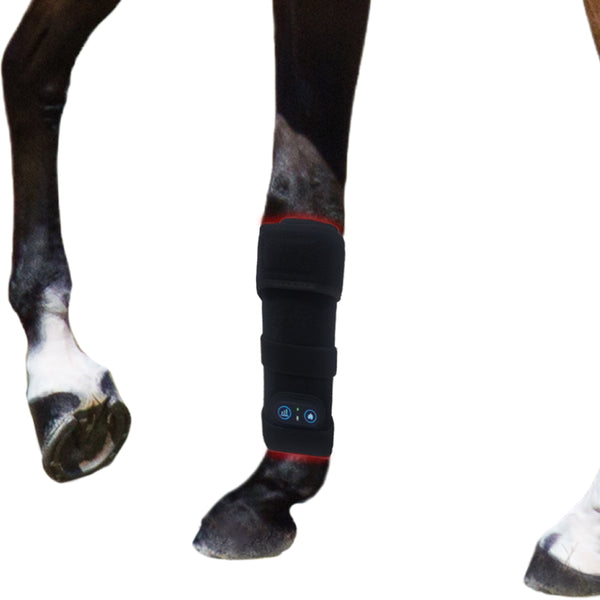 RedWell™ Horse Hock Wrap