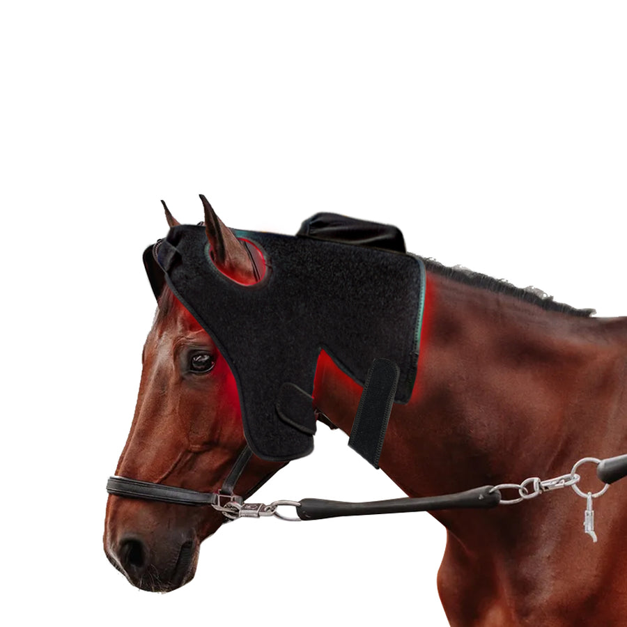 RedWell™ Horse Head Wrap