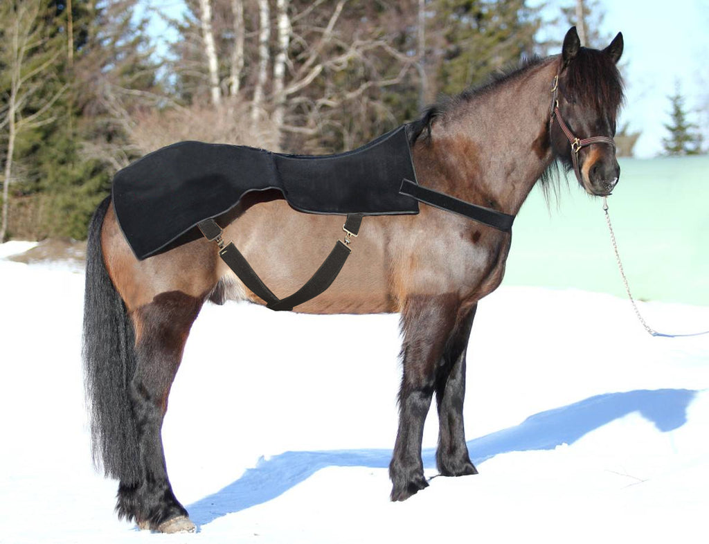 RedWell™ Horse Blanket