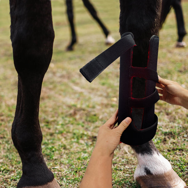 RedWell™ Horse Tendon Wrap