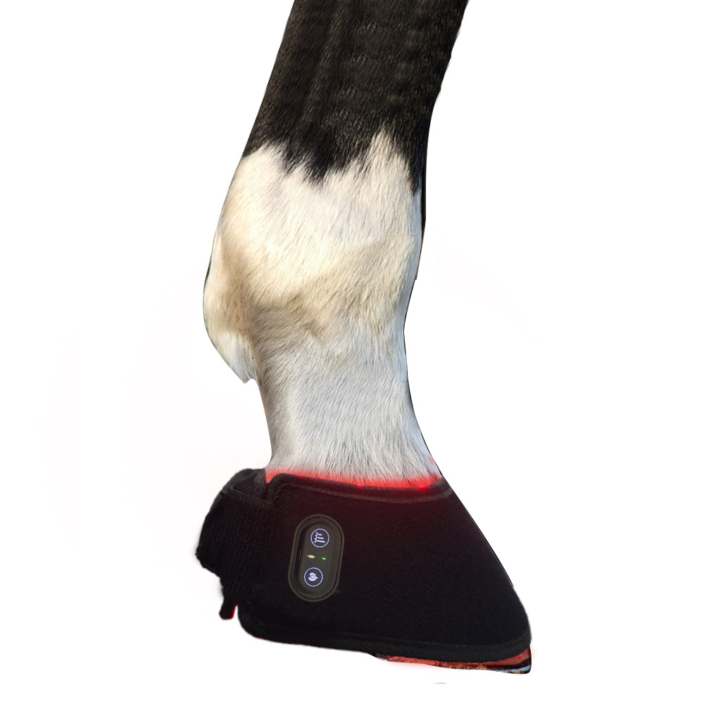 RedWell™ Horse Hoof Wrap