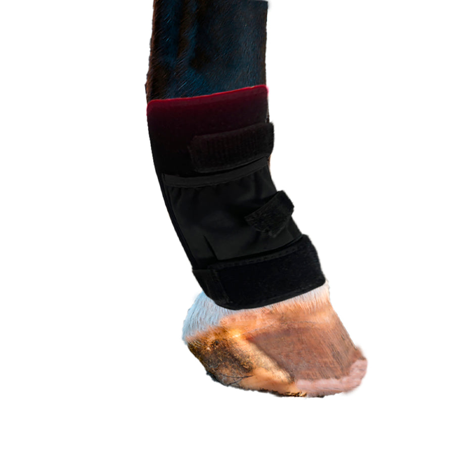 RedWell™ Horse Hock Wrap