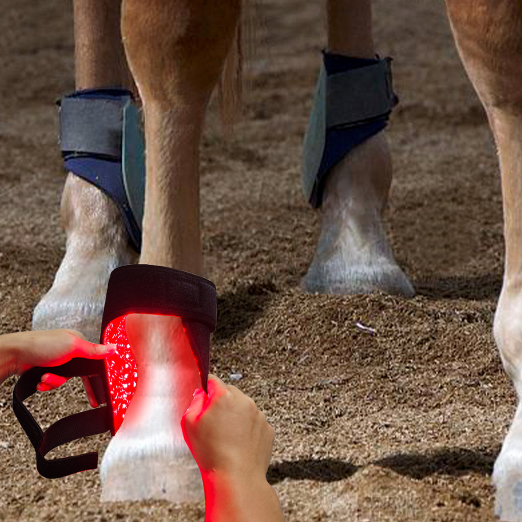 RedWell™ Horse Hock Wrap