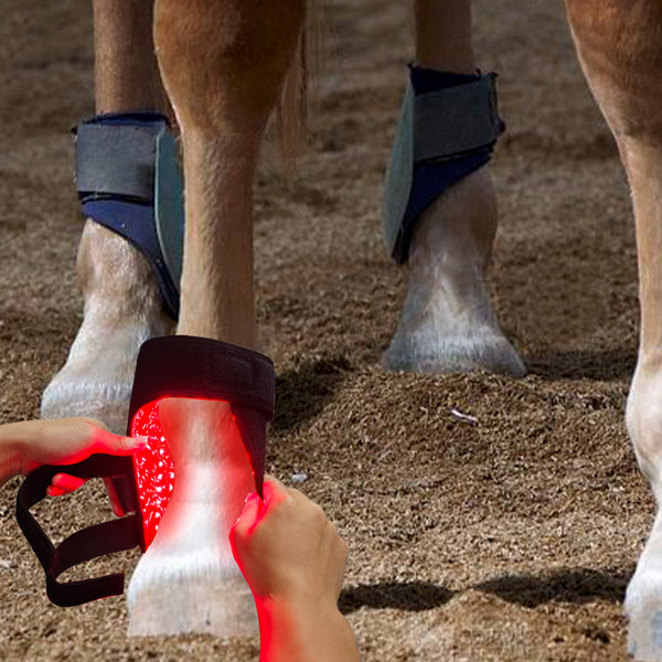 RedWell™ Horse Hock Wrap