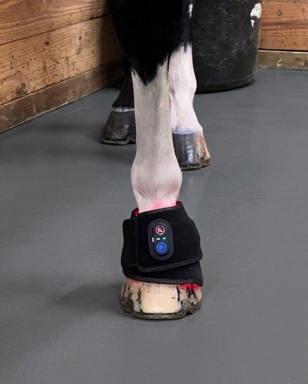 RedWell™ Equine Hoof Wrap