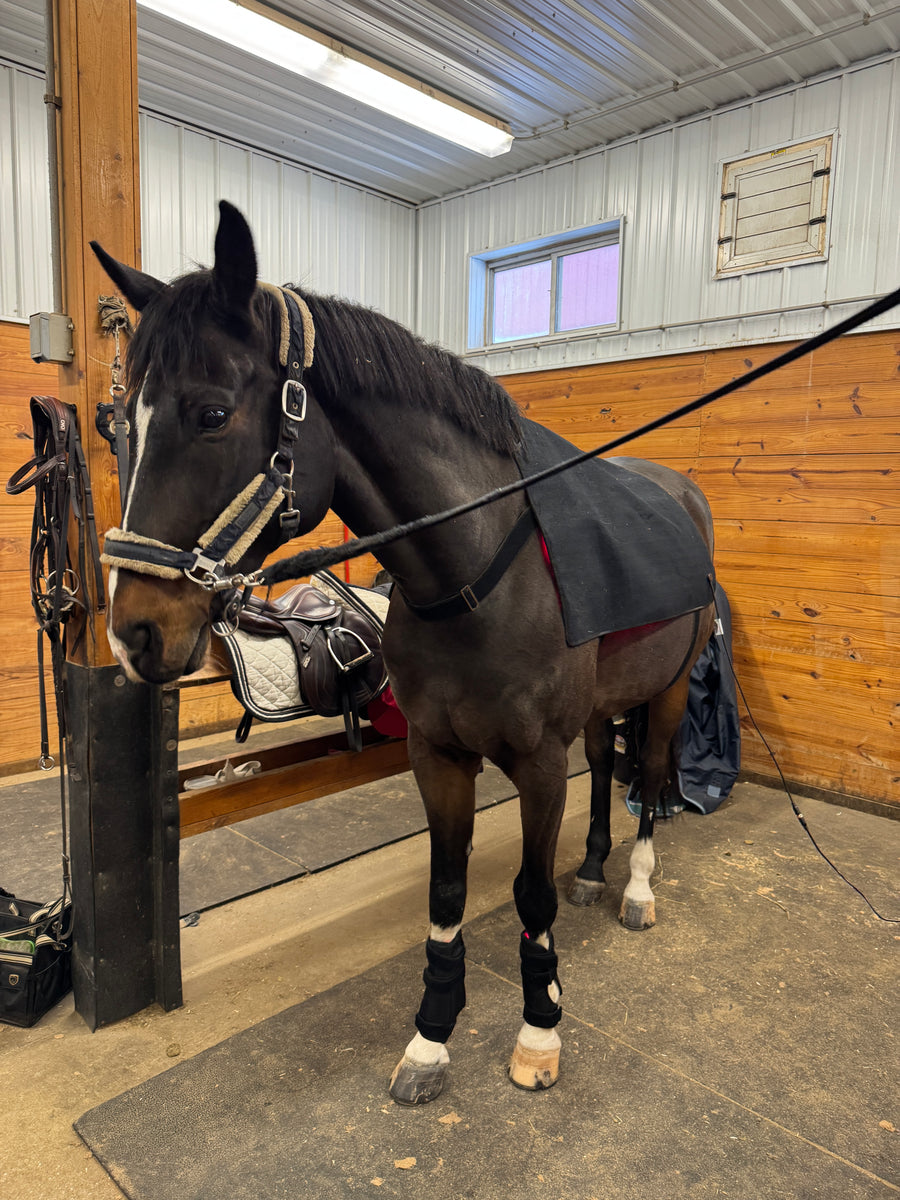 RedWell™ Horse Back Wrap