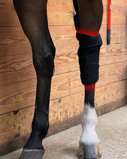 RedWell™ Equine Hock Wrap