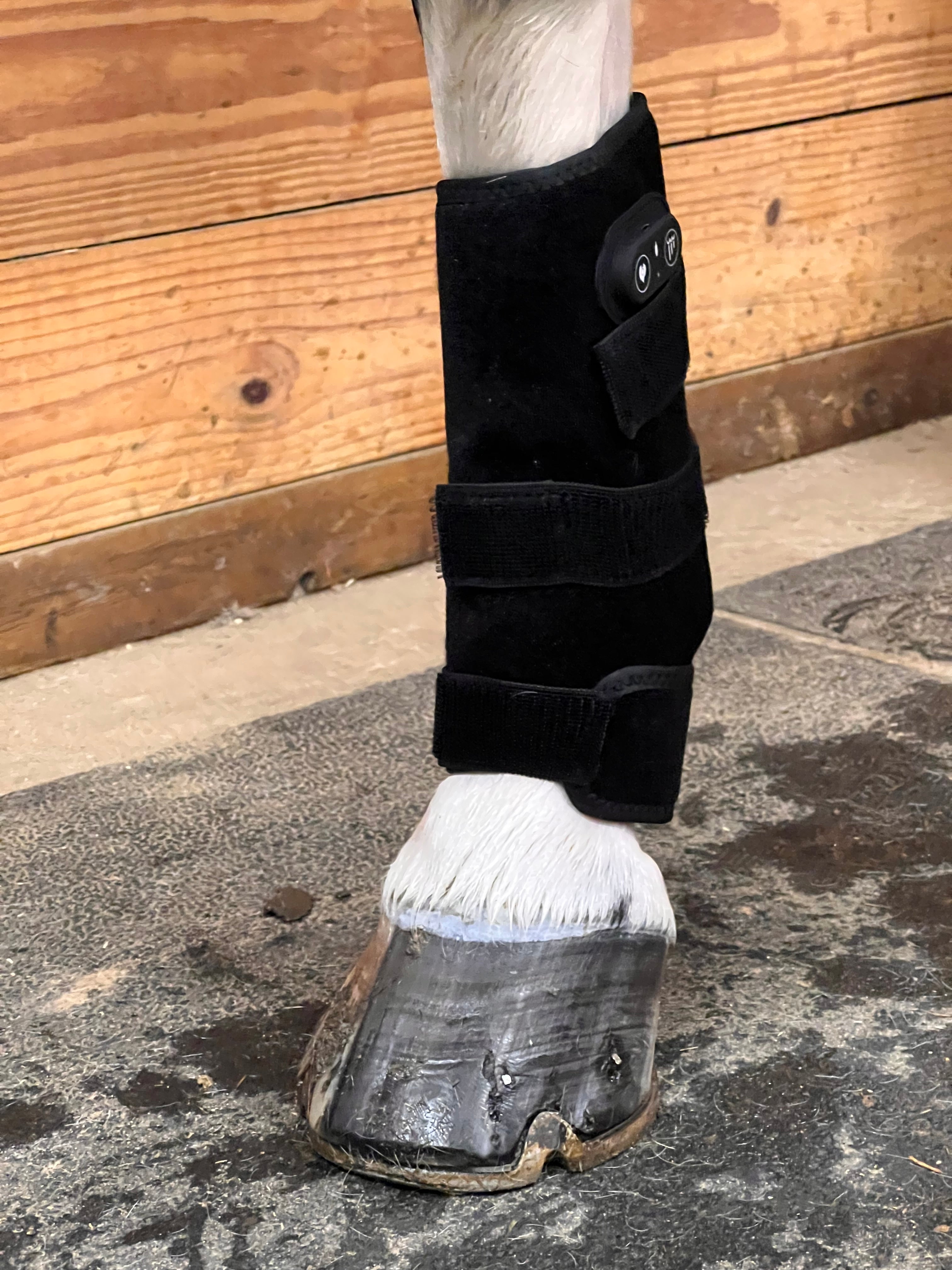 RedWell™ Equine Tendon Wrap – Wellness USA Shop