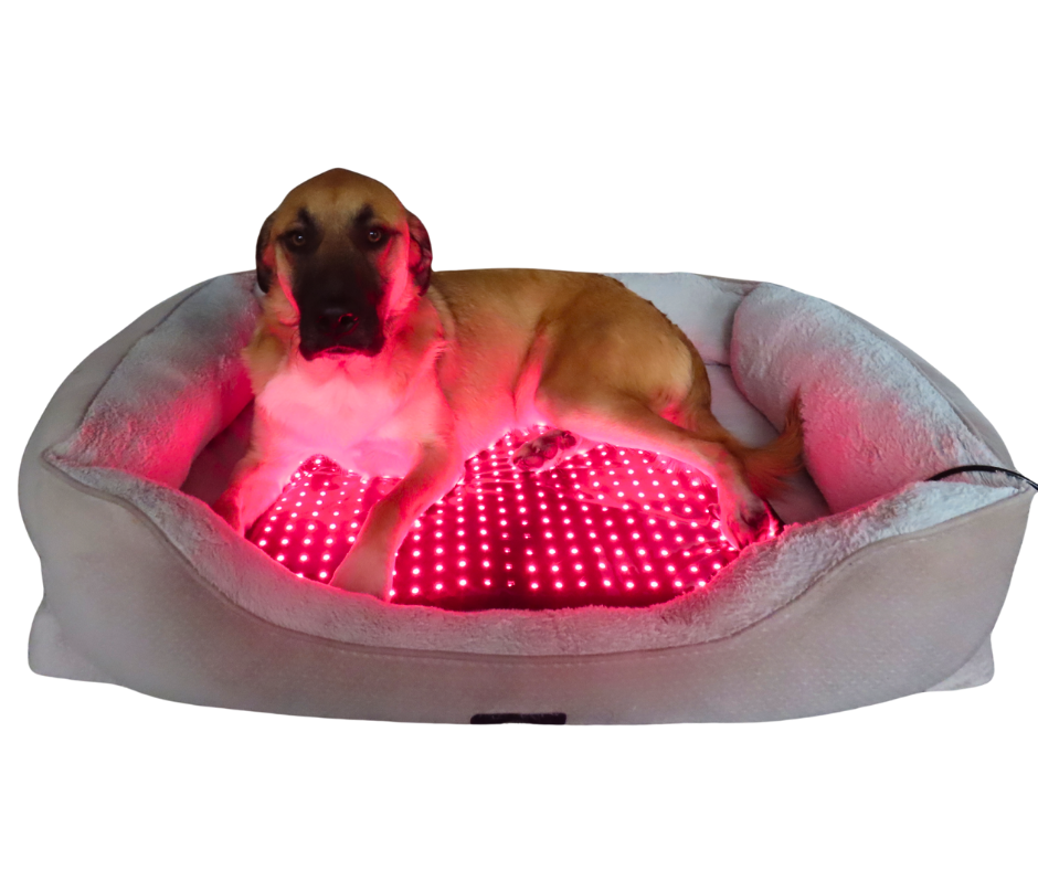 RedWell™ Pet Mat